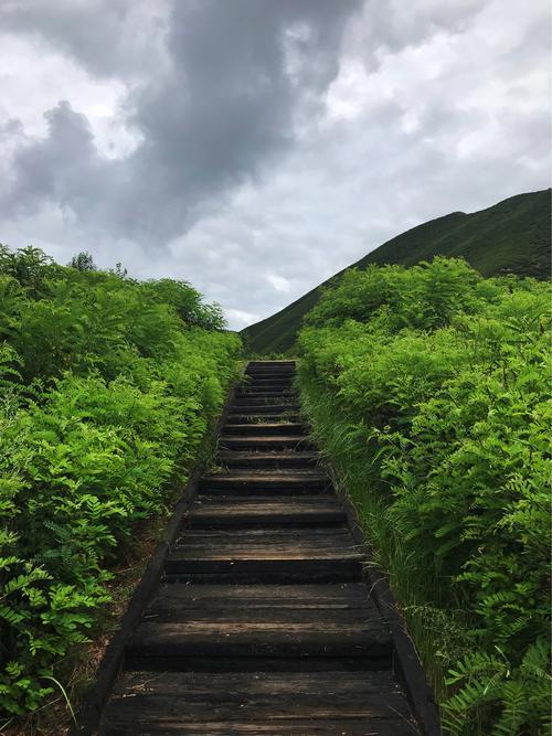 探寻柳州蒙古公园,多元文化交融的绿色天堂