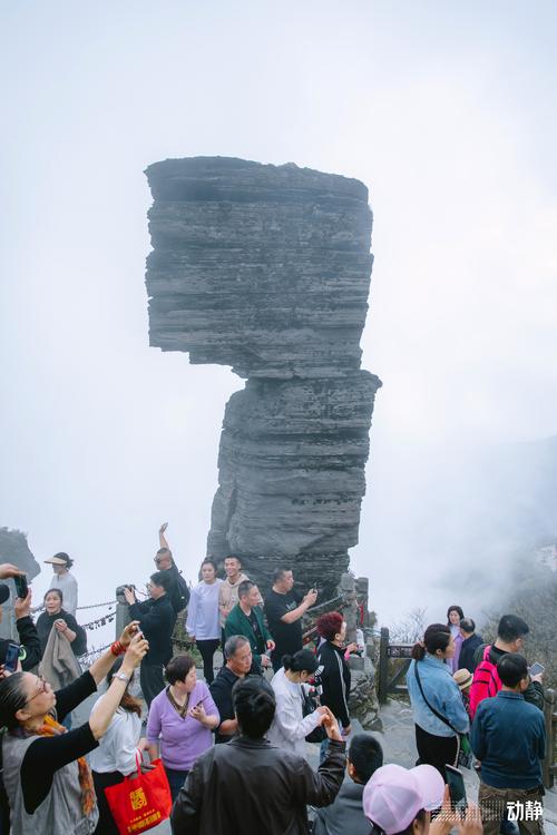 探寻梵净山的自然奇观,神秘与壮丽并存的自然圣地