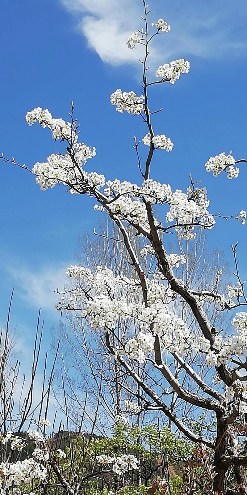 探寻蓟县蟒蛇谷,大自然的奇观与神秘传说