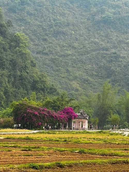 探秘东山太白小镇,山水画卷中的古韵风情  第2张