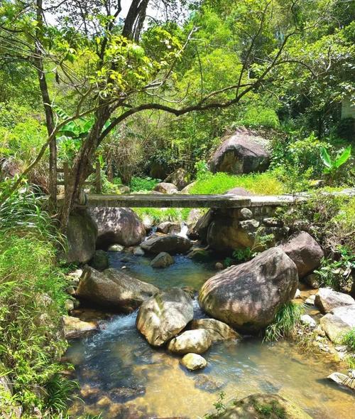 探秘云髻山,大自然的瑰宝，心灵休憩的净土