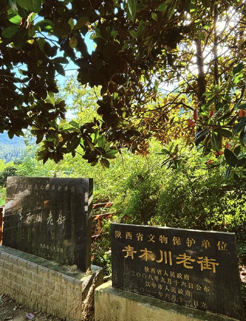 探秘宁强洞子公园,介绍秦巴山区的历史文化瑰宝