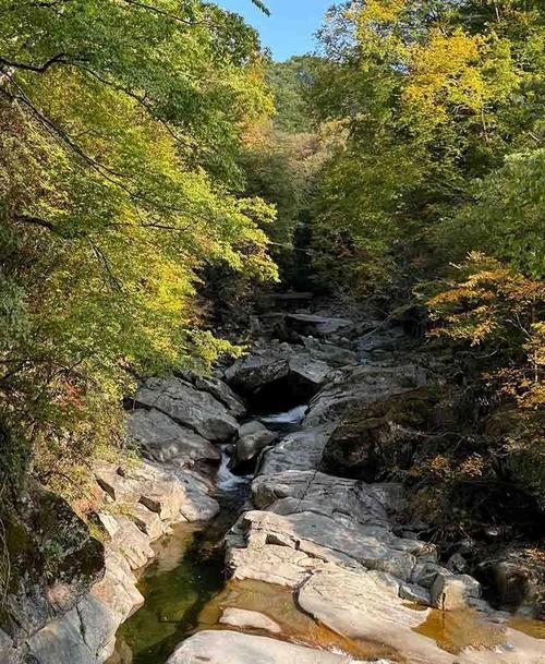 探秘田头河,免费景点中的生态宝库