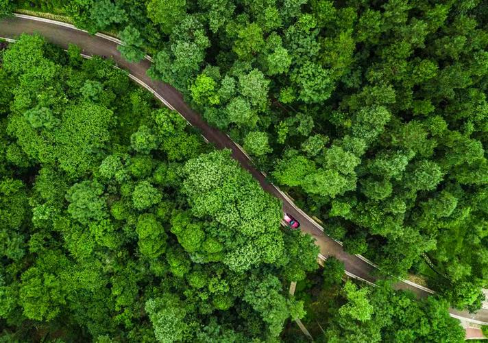 探秘贵阳植物公园,大自然的绿色宝库