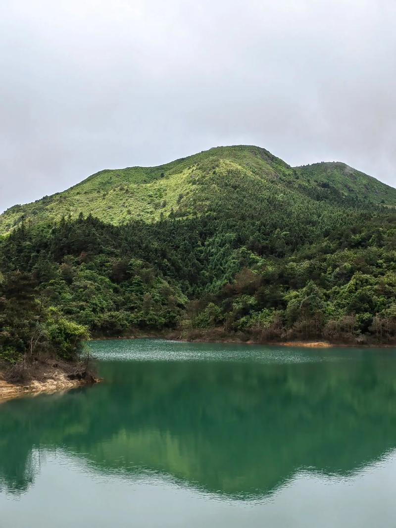 揭阳山顶,绿意盎然的天然氧吧，探寻自然之美