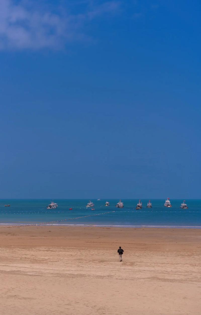 无棣海岸线,探寻海韵风情，领略自然魅力  第2张