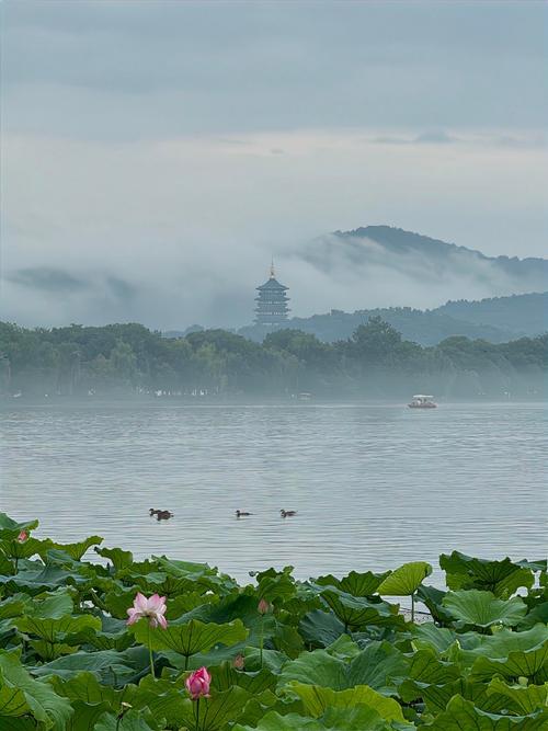 杭州秋雨西湖,诗意画卷中的静谧时光