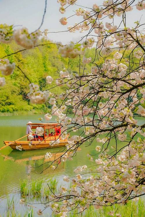 浙江春天，邂逅诗意美景，探寻文化印记