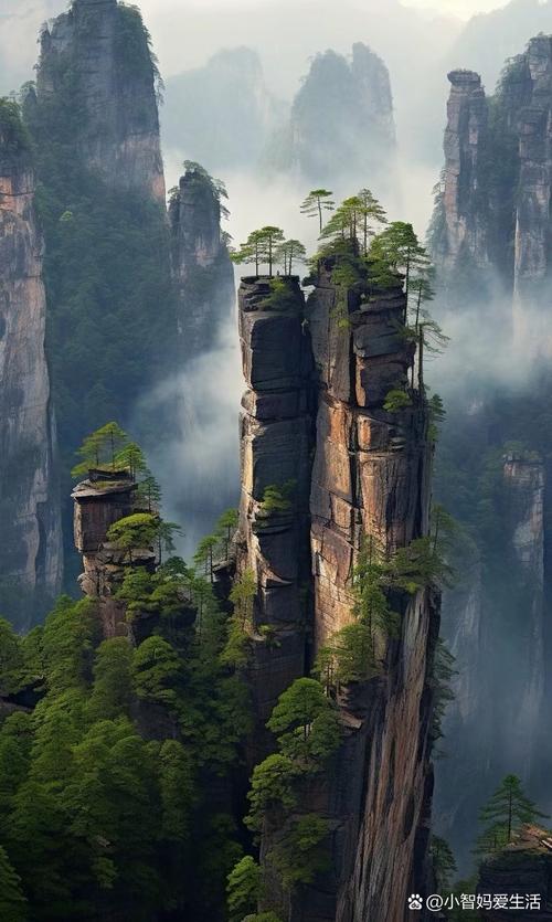 湖北仙境,探秘山顶的神秘魅力