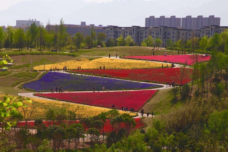 花海璀璨，西安高陵景点魅力绽放