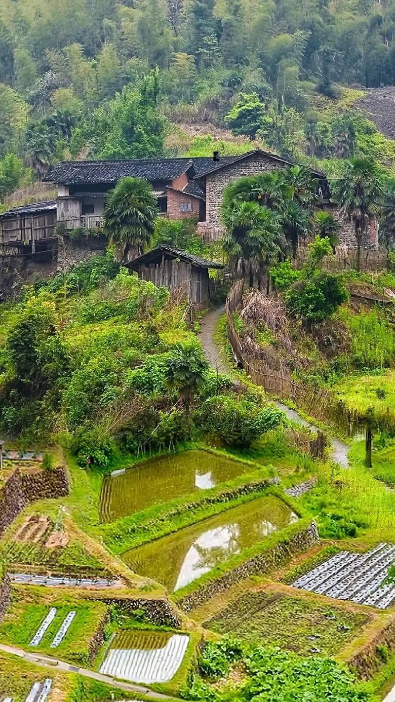 走进小山村，感受乡村之美_探寻我国乡村景点的独特魅力