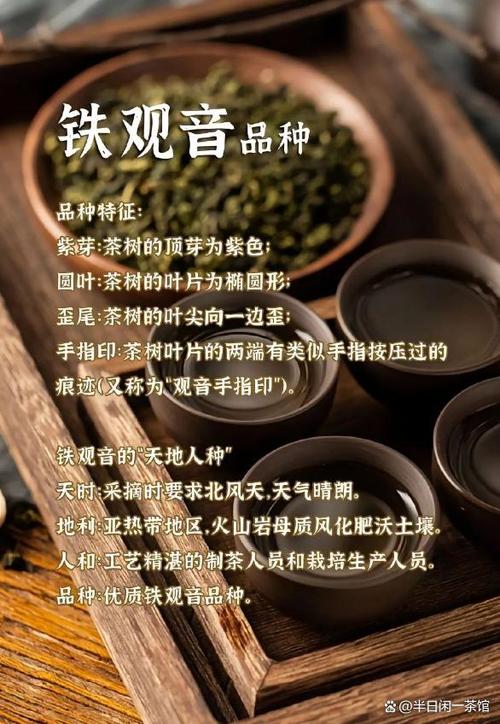 东莞铁观音,探寻历史足迹，领略茶文化魅力