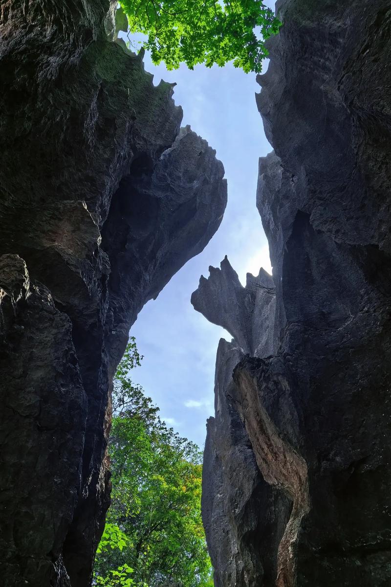 临沂石林公园,大自然的鬼斧神工，探秘地质奇观之旅