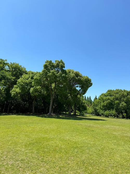 乌鲁木齐植物公园,绿意盎然的生态氧吧，探寻大自然的奇妙之旅