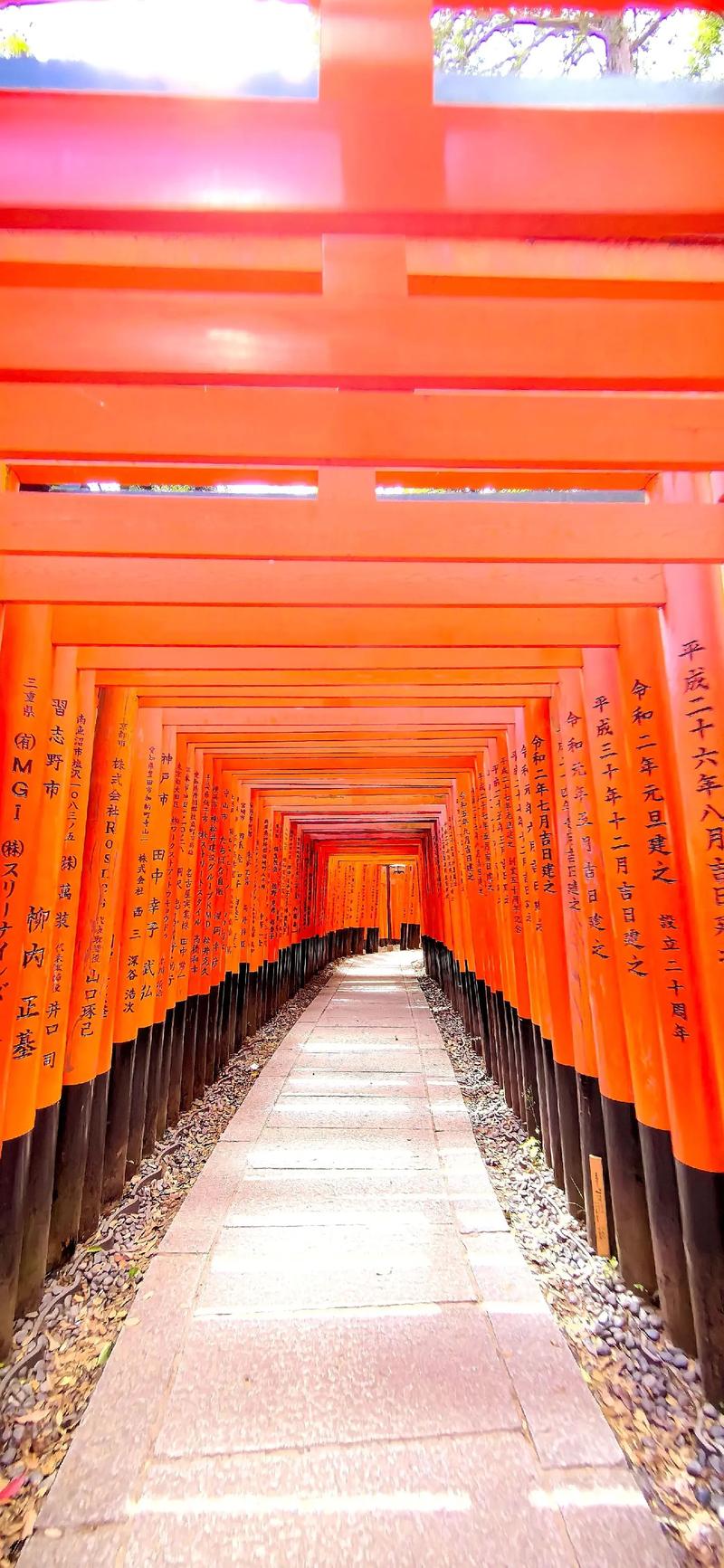 京都神社,穿越时空的信仰之旅