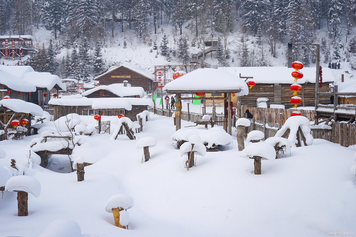 冰封雪飘，齐市冬季魅力无限_探寻东北风情之旅