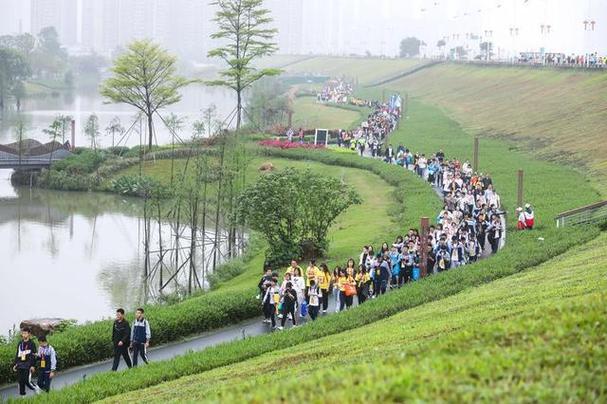 南岸徒步之旅,探寻城市绿洲，享受自然之美