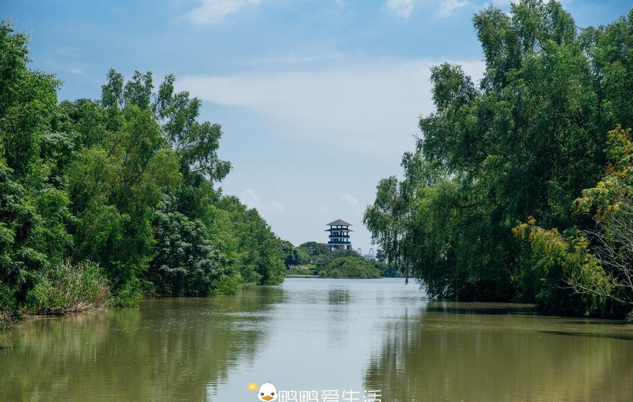 南沙避暑胜地,探寻夏日清凉秘境