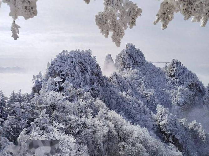 南阳雪景,银装素裹，如诗如画