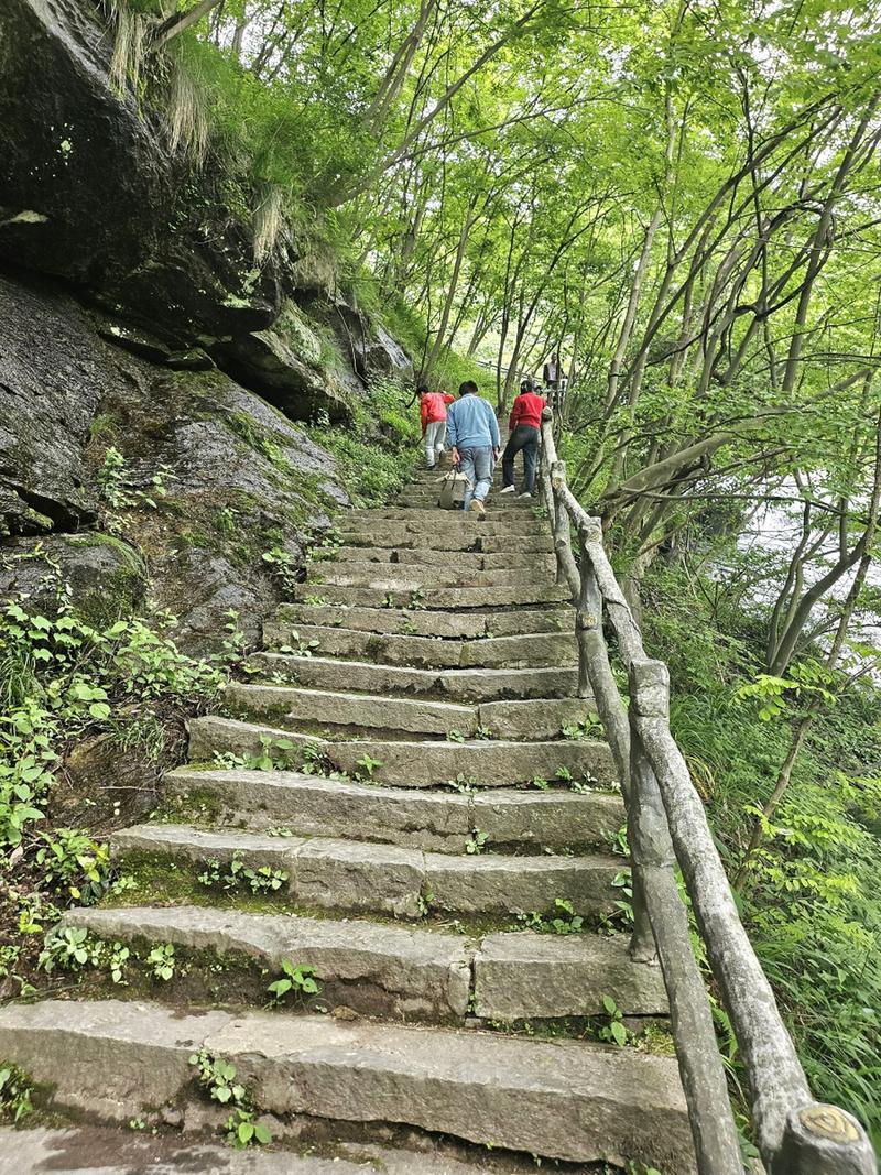 唐山自然奇观,探寻古老山城的绿色瑰宝  第2张