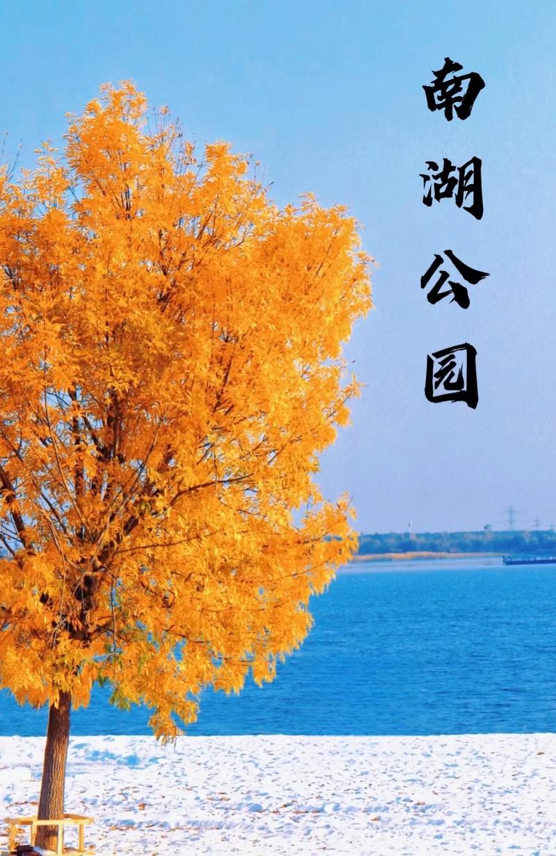 天津南湖公园,城市绿洲中的生态画卷