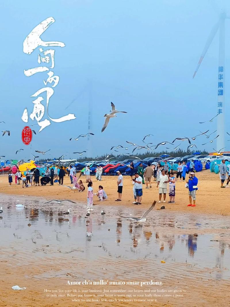 威海大街海边,漫步时光，领略海滨风情