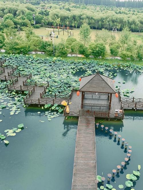 崇明岛,周末避暑胜地，畅享清凉夏日