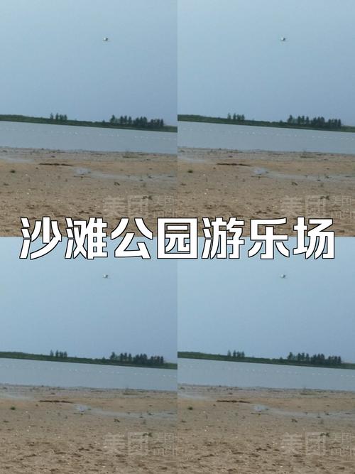 常德沙地公园,探寻自然的奇妙与和谐