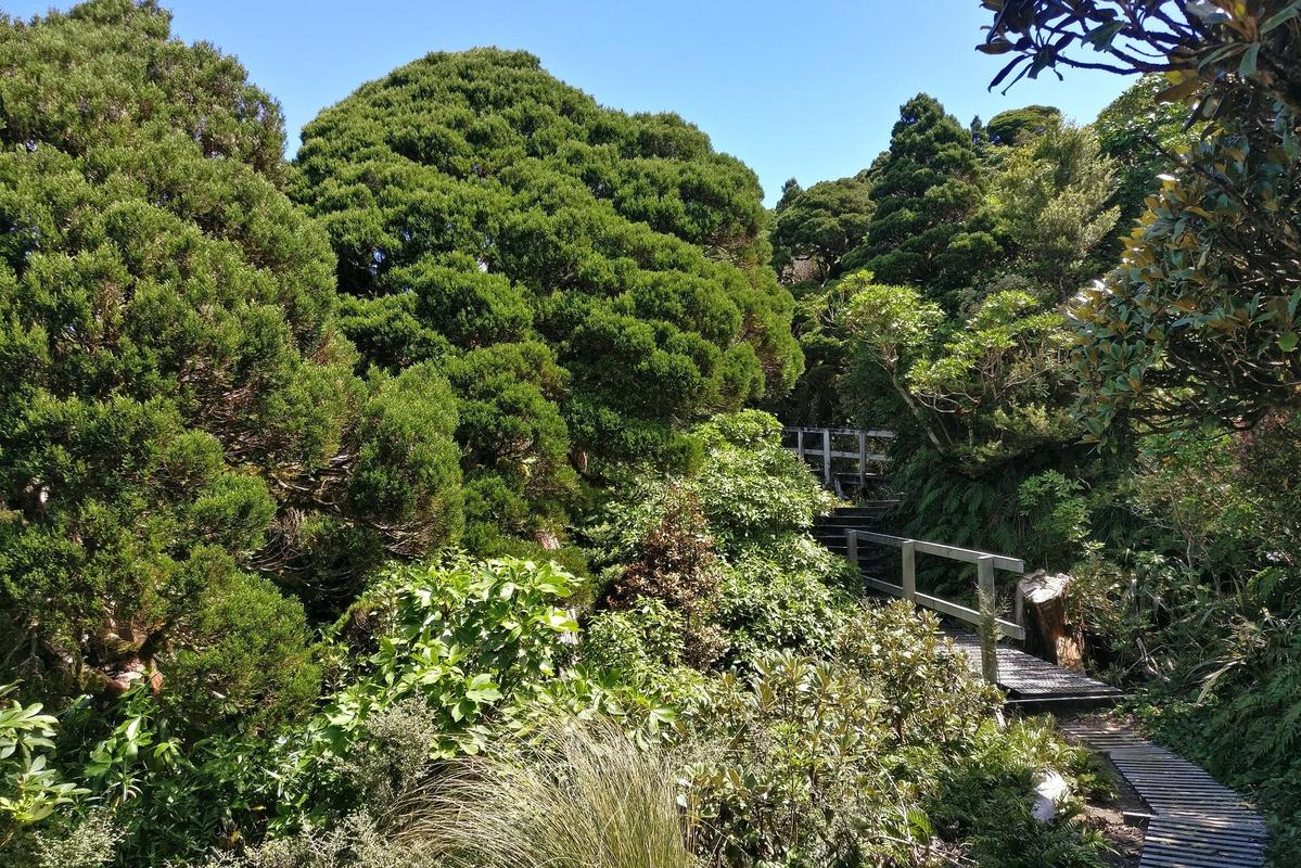 帽峰山,广州后花园中的绿色秘境