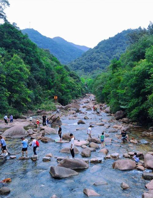 广丰大山深处,探寻自然奇观的秘境之旅