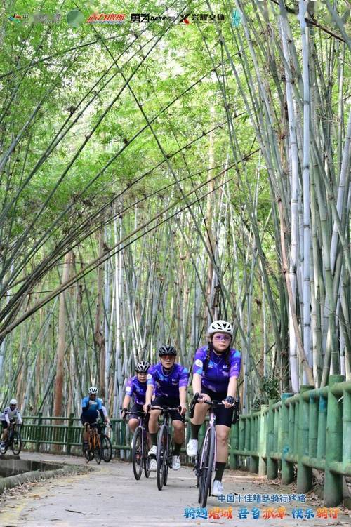 广州白云山骑行,探寻城市绿肺的宁静之旅