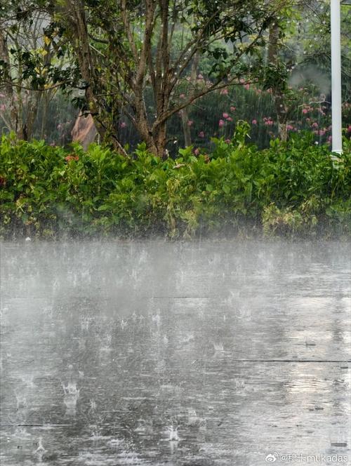 广州落雨,一场诗意盎然的雨中之旅  第2张