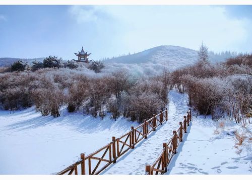 庄浪冬季美景,银装素裹，诗意盎然