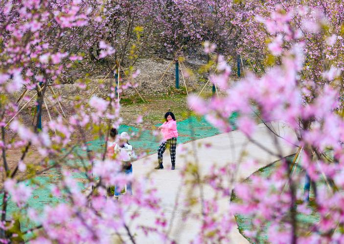 廊坊春季公园,踏青赏花的好去处，感受春天的气息