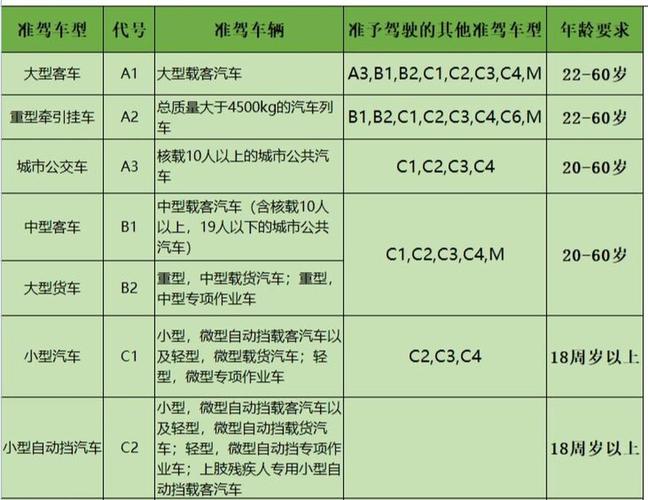 准驾车型与驾驶费用,合理匹配，提升驾驶体验  第2张