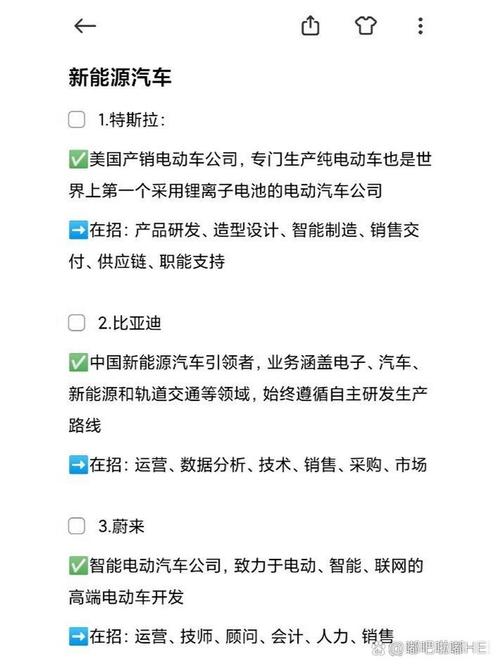 新能源车,投资风口还是中签难题介绍新能源车中签率之谜  第2张