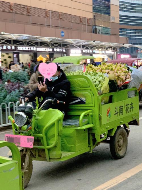 阳光牌电动车三轮车,绿色出行新选择，守护家庭美好时光