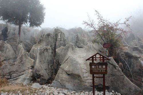 小石浪游介绍，浪旅文化传播有限公司。