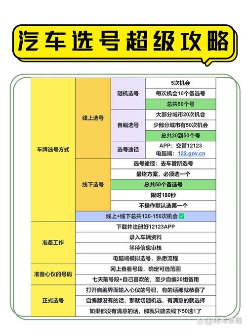 广州新能源车选号攻略,掌握这些方法，让你的爱车更独特！  第2张