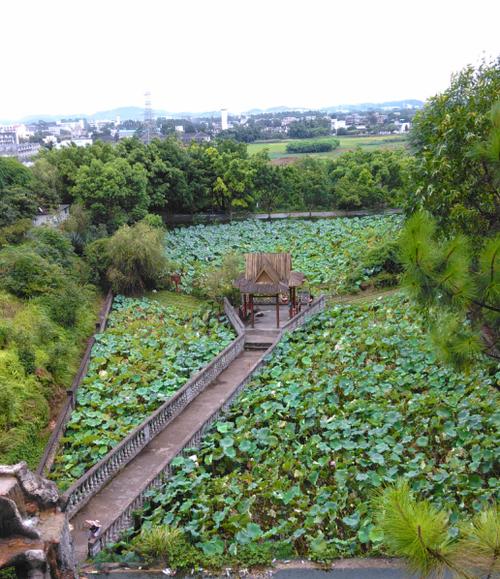 柳州沙塘花果山的费用是多少，沙塘旅游景点。