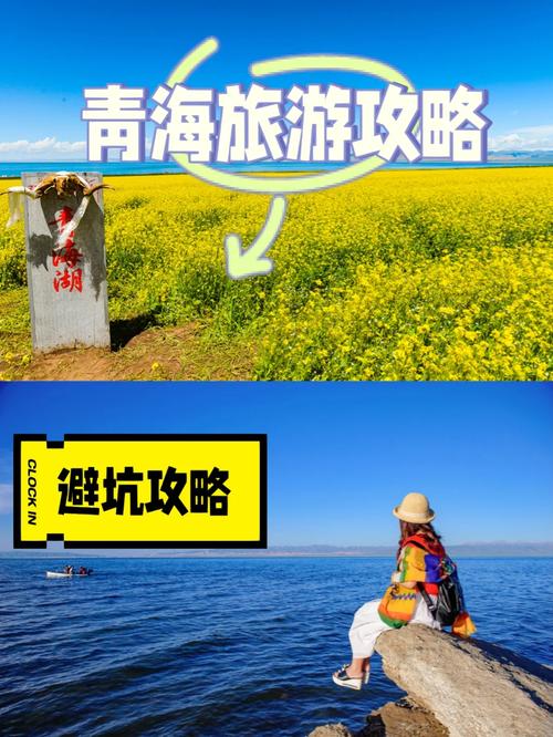 2010年青海旅游收入多少元，2010旅游卫视。