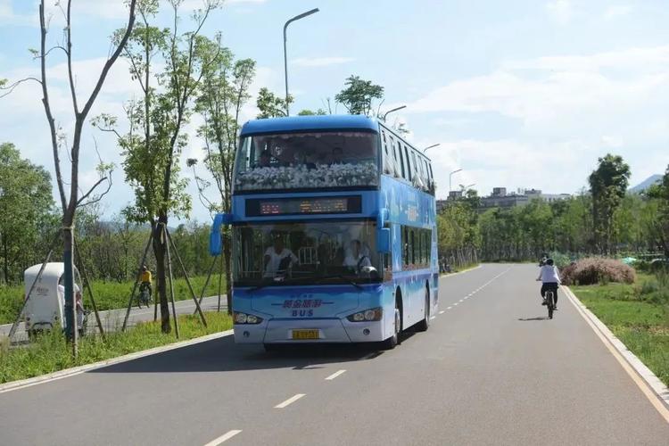 旅游大巴可以走公交车道吗，旅游brochure图片。