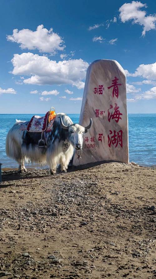 几月份去青海旅游最好，山东省青岛旅游。