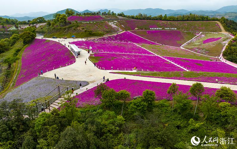 宁波春天适合去哪里旅游，宁波踏青旅游地。