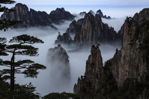 哪个旅游网站比较好，搜狐旅游频道。