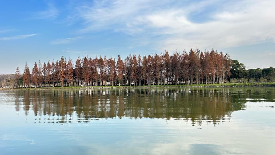 崇明沙滩哪里好玩，崇明岛旅游景点有哪些地方。