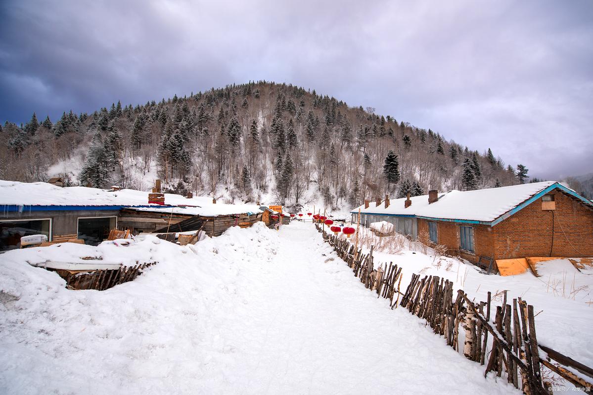 旅游乱象：东北有雪乡，西南有丽江，旅游产业该走向何方，旅游乱象如何治理。