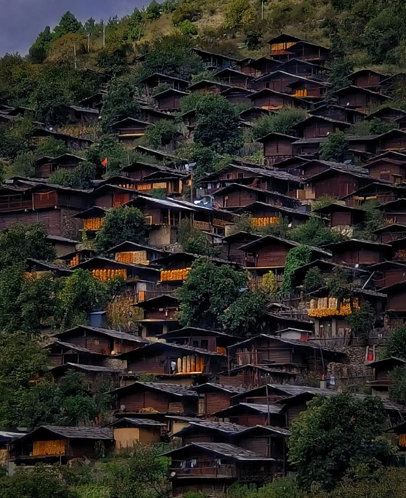 维西同乐村旅游攻略，大木瓜村旅游项目介绍。