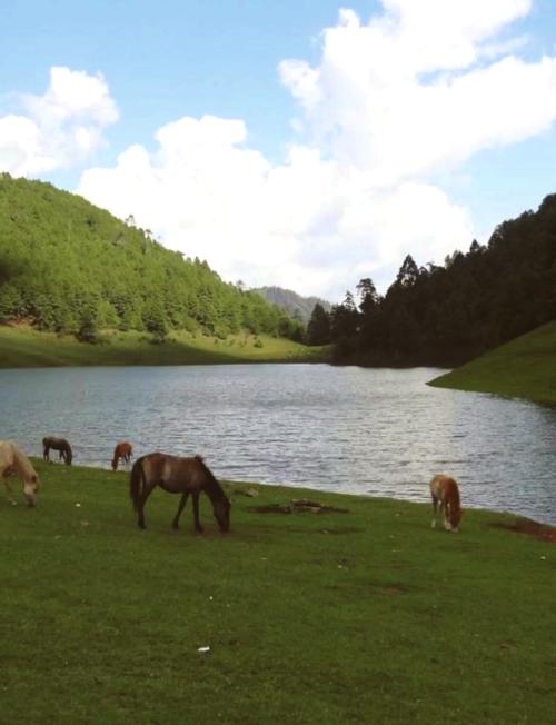 怒江傈僳族自治州旅游景点，兰坪旅游景点大全排名。