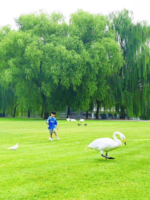 到北京旅游零下五度穿什么衣服，旅游耳麦怎么戴。